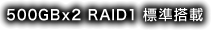 500GB x 2 RAID 1