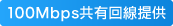 標準100Mbps回線