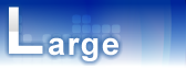BULK CLUSTER for SAP Large